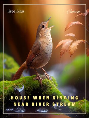 cover image of House Wren Singing Near River Stream